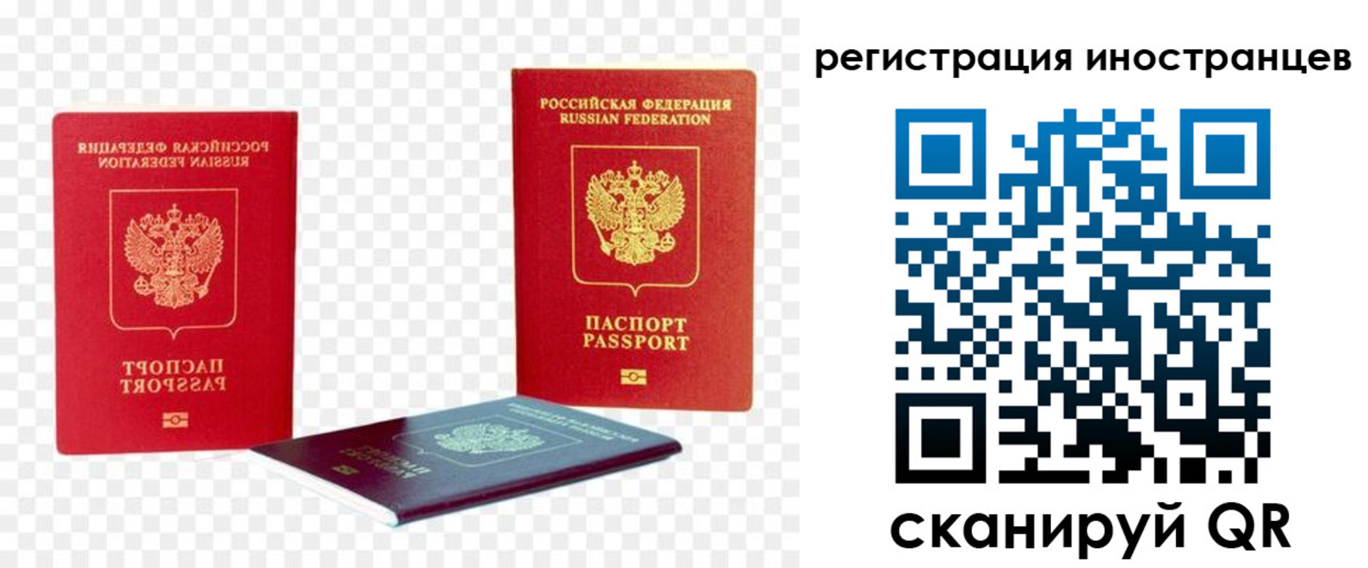 прописка 2025 в Бийске